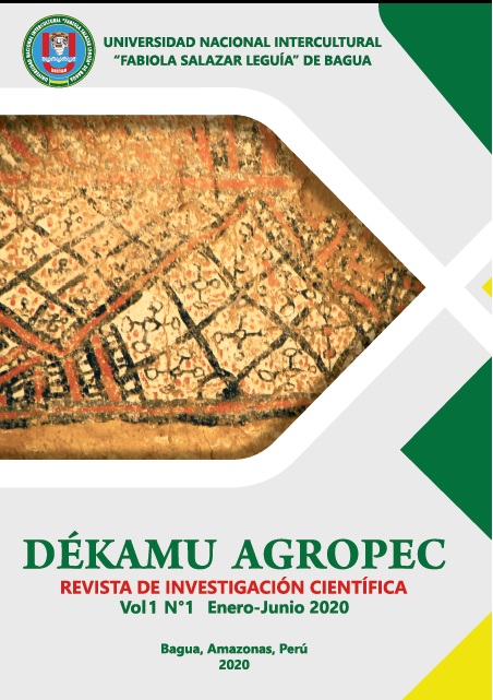 					Ver Vol. 1 Núm. 1 (2020): Revista de Investigación Científica: Dékamu Agropec
				