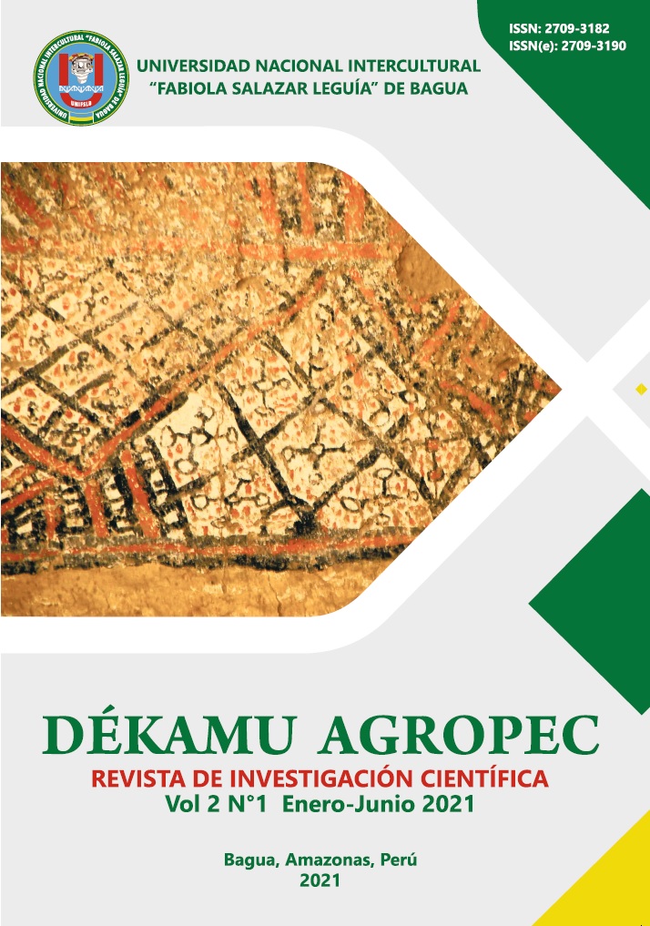 					Ver Vol. 2 Núm. 1 (2021): Revista de Investigación Científica: Dékamu Agropec
				